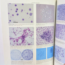 Load image into Gallery viewer, Culture of Animal Cells by R Ian Freshney 5th Edition Manual of Basic Technique
