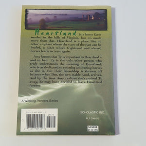 Heartland Book Series Novel Lot Books 2 3 4 5 After The Storm By Lauren Brooke